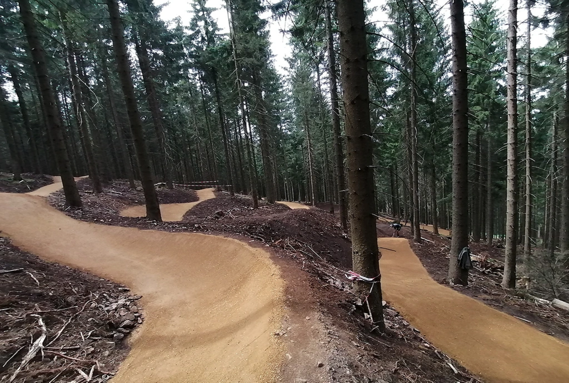 Family Flow Trail in Wald